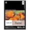 Canson Artist Series Mi-Teintes Pastel Pad, Earth Tones, Foldover Binding, 24 Sheet, 9x12 inch, 2PK C100510897 - alternate 6