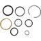 Agco SEAL KIT, AGCO OEM 211925  211925 - alternate 3