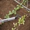 Corona Tools Extended Reach 7-Tine Rake with ComfortGEL Grip GT 3234 - alternate 4