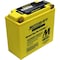 Motobatt 22Ah 220 CCA AGM Powersports Battery MB51814 - alternate 1
