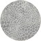 Homeroots 8' Gray And Ivory Round Geometric Washable Indoor Outdoor Area Rug 595075 - alternate 6