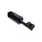 Fcs Struts Suspension Strut And Coil Spring Assembly 1334075R - alternate 3