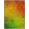 Homeroots 5' X 8' Terra Cotta Gold And Green Ombre Washable Indoor Outdoor Area Rug 577278 - alternate 8