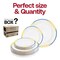 Smarty Had A Party White w/Blue and Gold Harmony Rim Plastic Dinnerware Set (120 Dinner Plates+120 Salad Plates), 240PK 600VP-CASE - alternate 7