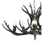 Jonathan Y Eldora 30" 5-Light Rustic Farmhouse Adjustable Resin Antler LED Chandelier, Black JYL6300C - alternate 9