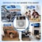 Edendirect 6000 sq. ft. Ion Generator Purifier for Home, 60000mg/h Odor Removal Ozone Generator with Timer ZR-ZS-BD10 - alternate 9