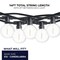 Bulbrite Outdoor/Indoor 14 ft. Plug-In Globe Bulb G16 Shatter Resistant LED Blk Strng Lght w/10 Sockets-Bulbs 812123 - alternate 5