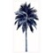 Homeroots Palm Tree Blue I White Framed Print Wall Art 526993 - alternate 1
