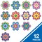 Carson Dellosa Happily Ever Elementary Retro Remix Jumbo Flowers Cutouts, 12-Piece Set, 6PK 120655 - alternate 3