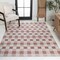 Jonathan Y Darcy Traditional Geometric Bold Gingham Salmon/Cream 3 ft. x 5 ft. Indoor/Outdoor Area Rug TSN201B-3 - alternate 4