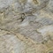 Homeroots 5' X 8' Taupe Brown And Gray Abstract Washable Indoor Outdoor Area Rug 581780 - alternate 5