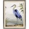 Homeroots Blue Heron Framed Art Silver Picture Frame Print Wall Art 416428 - alternate 1