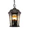 Euri Lighting Bronze LED Hanging Lantern with Flickering Flame, Dual Modes, Water Glass, Wall Switch EHL-130W-MD - alternate 5