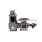Fill-Rite Positive Displacement Flowmeter, 1 inSz TS10AF83AUGXXX9N - alternate 1