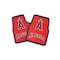 Coverking UNIVERSAL FLOORMAT WITH LOS ANGELES ANGELS LOGO HQZFXD - alternate 1