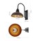 Jonathan Y Stanley 12.25" 1-Light Farmhouse Industrial Iron LED Gooseneck Arm Outdoor Sconce, Wood Finish/Copper JYL7614G - alternate 6