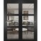Sartodoors Sliding Closet Bypass Doors, Lucia 2555 Matte Black with Clear Glass, Sturdy Rails Moldings Trims LUCIA2555DBD-BLK-6096 - alternate 1