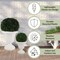 Pure Garden Outdoor Planter 2-Pack Large & Small Urn Planters Plastic Plant Pots for Indoor or Outdoor 50-LG1430 - alternate 6