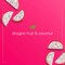Dove Advanced Care Dragon Fruit and Coconut Hand Wash, 12 Ounce, 4PK 64779848 - alternate 8