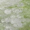 Homeroots 10' X 14' Olive Green And Gray Abstract Washable Indoor Outdoor Area Rug 582175 - alternate 7