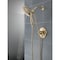 Delta Saylor Monitor 17 Series Shower Trim with In2ition T17235-CZ-I - alternate 4