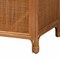 Bali & Pari Paloma Natural Rattan Decorative Cabinet 260-14219-ZORO - alternate 7