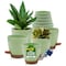Campior Green Self Watering Pots Indoor and Outdoor Plant Pots with Wick Rope and Drainage Holes, 10PK CAMPPLTGR101 - alternate 1