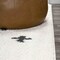 Jonathan Y Cristo Berber Geometric Shag White/Gray 4 ft. x 6 ft. Area Rug MOH403A-4 - alternate 6