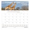 House Of Doolittle Monthly Wall Calendar, Earthscapes, 12 Months, Jan-Dec, 12 in x 12 in, Wildlife 3731 - alternate 1