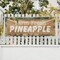 Signmission Farm Fresh Pineapples, 18 Inch x 48 Inch, Vinyl Banner B-30608 - alternate 5