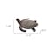 Homeroots 22in Sea Turtle Indoor Outdoor Statue 473194 - alternate 5