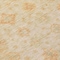 Homeroots 8' Beige And Rust Round Floral Medallion Washable Indoor Outdoor Area Rug 615940 - alternate 7