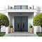 Vdomdoors Steel Double Doors Deux 6501 Anthracite Stainless Inserts Single Modern Painted DEUX6501DEXD-BLK-RH-W72 x H80 - alternate 3