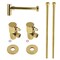 Kingston Brass Plumbing Sink Trim Kit with Bottle Trap, Polished Brass CD43302DLLKB30 - alternate 1