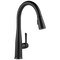 Delta Essa VoiceIQ Single Handle Pull-Down Faucet with Touch2O Technology 9113TV-BL-DST - alternate 1