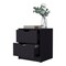 Homeroots 19" Black Wood Two Drawer Nightstand with Integrated Tech 518176 - alternate 5