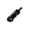 Fcs Struts Suspension Strut And Coil Spring Assembly 1355028 - alternate 3