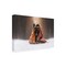 Trademark Fine Art Outdoor Canvas Art - Natalie Grosse 'Cozy Pup' Wall Art for Patios, or Gardens GRL01189-OC3047WR - alternate 1