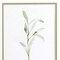 Homeroots Set Of Two Olive Leaves White Framed Print Wall Art, 2PK 521533 - alternate 4
