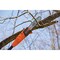 Black & Decker 6.5 Amp 9-1/2 ft. Pole Saw PP610 - alternate 4