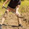 Radius Garden Premium D-Handle Round-Point Shovel, Steel Shaft RPS005 - alternate 8