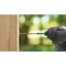 Grk Fasteners GRK 2'' T20 Star Drive Impact Screwdriver Bit, 2 Ct. 187435 - alternate 2