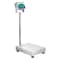 Adam Equipment Gladiator Approved Washdown Scales-GGB 60aM-Capacity: 60lb/30kg Readability:0.01lb/5g GGB 60aM - alternate 1