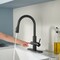 Anzzi Sunset 4-in-1 Single Handle 17.5 in. Faucet with Boiler Tank and Filter in Matte Black KF-AZ401MB - alternate 8