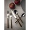Mepra Fantasia Flatware Set - 5 Pieces - Tobacco 10M622005 - alternate 5