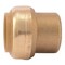 Sharkbite 1 in. Brass Push-to-Connect End Stop Fitting U520LF - alternate 1