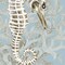 Homeroots Set Of Two Coral Seahorse 1 Black Framed Print Wall Art, 2PK 407934 - alternate 5