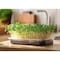 Miracle Led Micro Greens Starter Grow Light Kit, Wide Angle Red Spectrum, 2PK 803403 - alternate 3