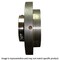 Edt PILOT FLANGEANGED BLOCK BEARING NA24AGDSC9-28 - alternate 3