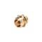 Zhejiang Hongchen Irrigation 3/4-Inch x 3/4-Inch Threaded Hose To Hose Connector 50030 - alternate 1